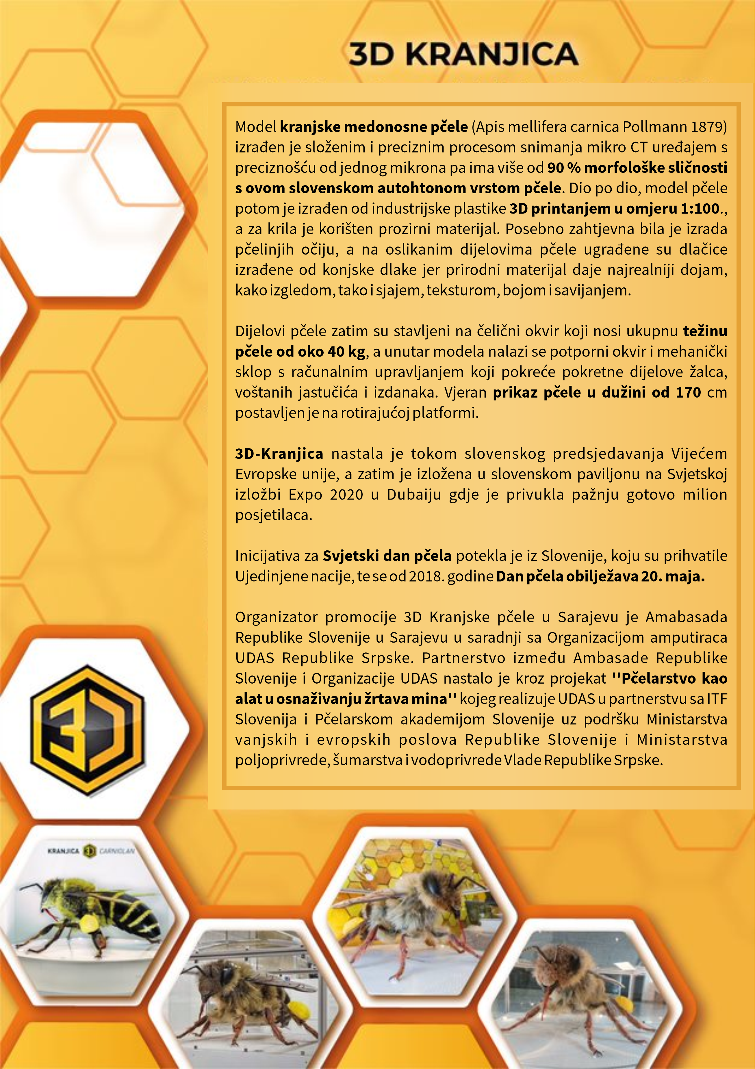 Model 3D kranjske pčele "KRANJICA"